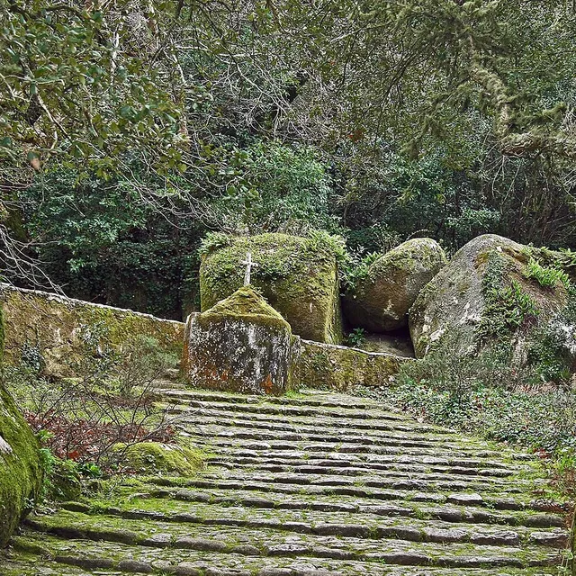 Mossy granite steps climbing through the woodland to the convent